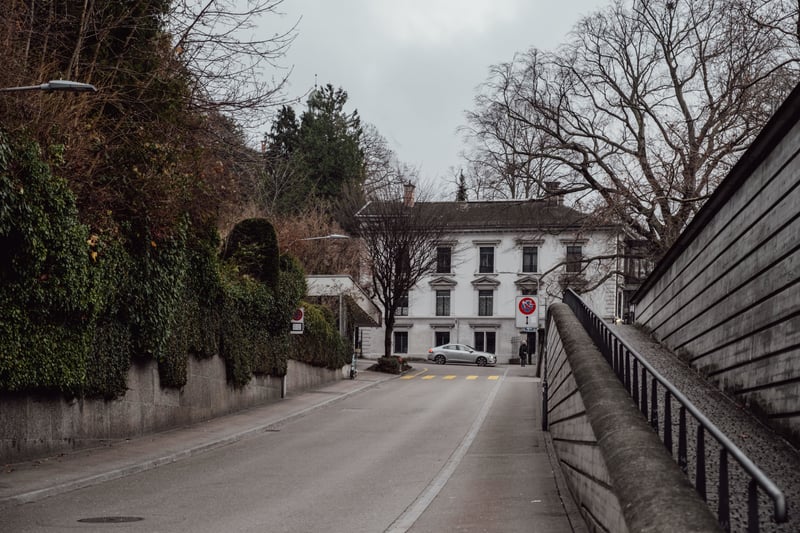 Permit types in Switzerland: Permit Ci: residence with gainful employment.