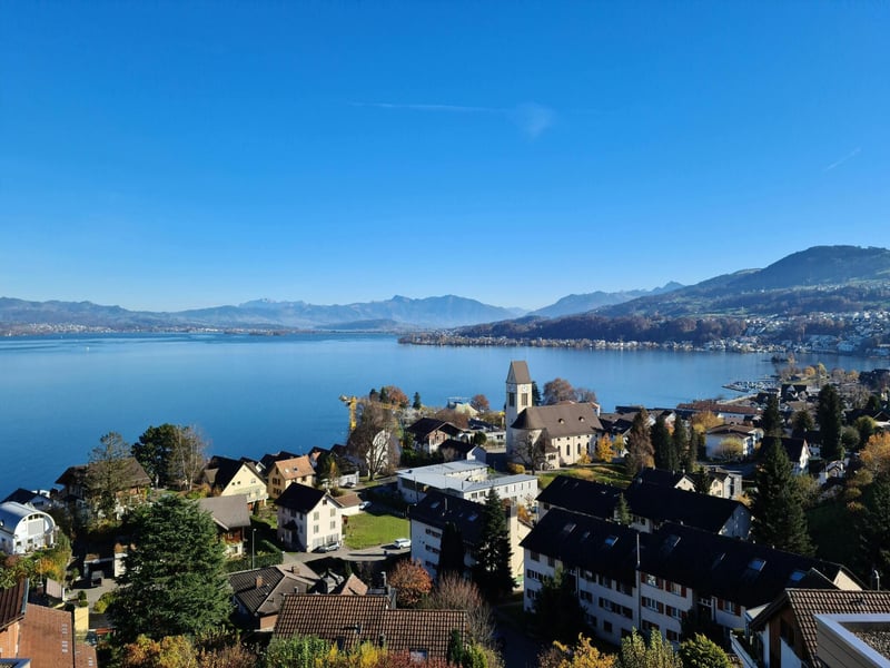 Geneva international organisations UN building — FINMA-licensed portfolio managers with Geneva-based wealth management clients operate under both FinIA prudential and FinSA conduct obligations